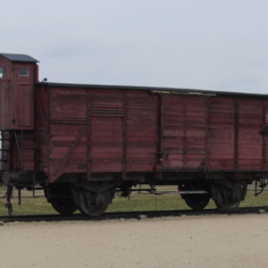 Auschwitz Birkenau virtual tour – train car on the ramp at the Holocaust memorial site